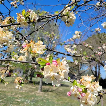 Bastide Des Calades Holiday home Lancon-Provence
